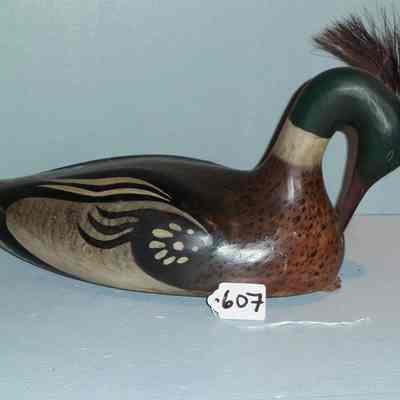 Preening Merganser Drake