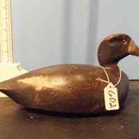 Bluebill Hen - Image 2