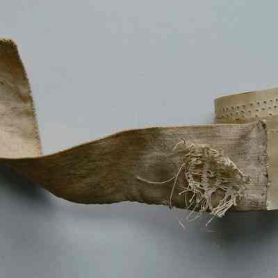 Pattern, Needlework