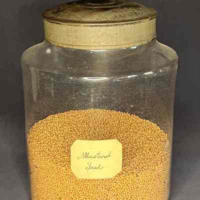 Canister
