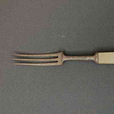 Fork