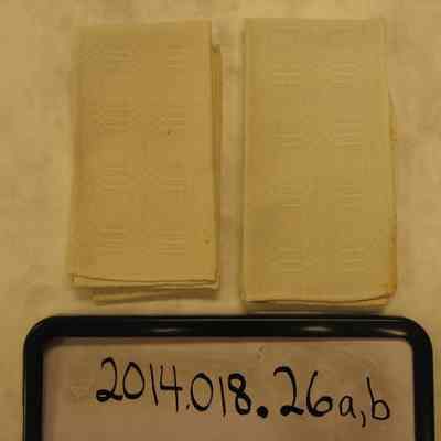 Napkin