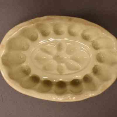 Food Mold