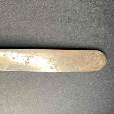 Dinner Knife