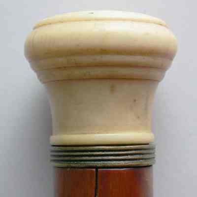Walking Stick