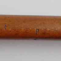 Walking Stick - Image 2