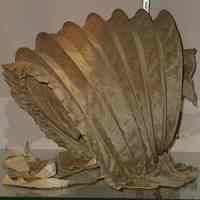 Calash - Image 4