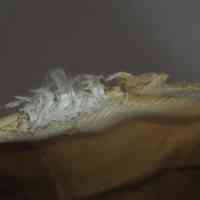 Slippers - Image 10