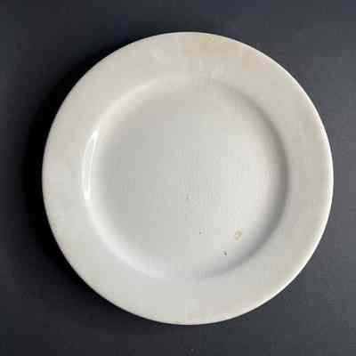 Dinner Plate