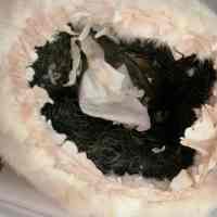 Muff - Image 3