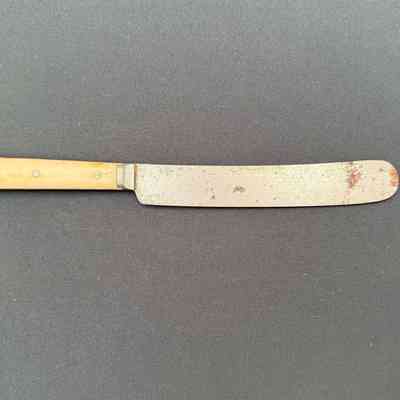 Dinner Knife
