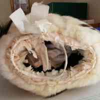 Muff - Image 4