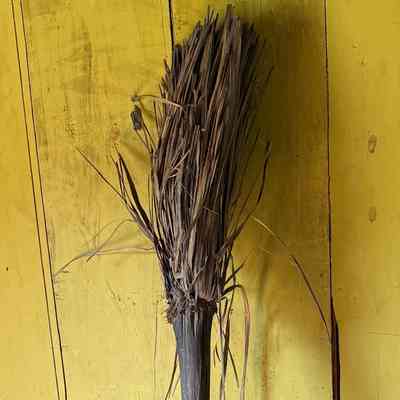 Broom