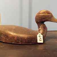Black Duck - Image 2