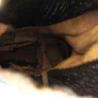 Boots - Image 10