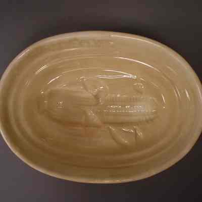 Food Mold