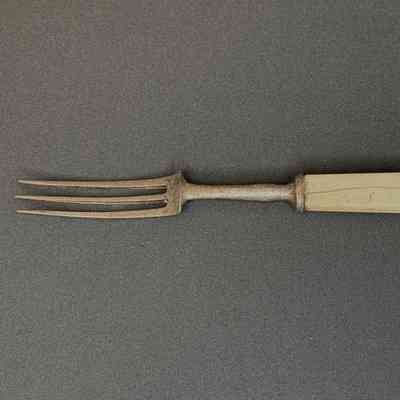 Fork