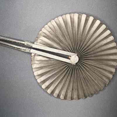 Hand Fan