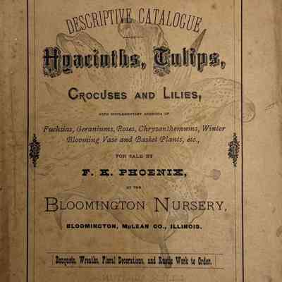 Phoenix's Flower Catalogue, 1873-1874