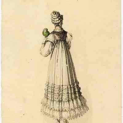 Morning Dress, Back of Full Garment, Parrot