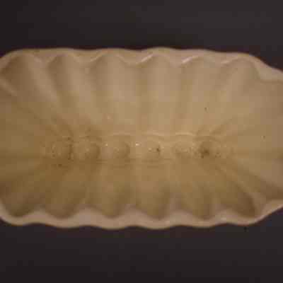 Food Mold