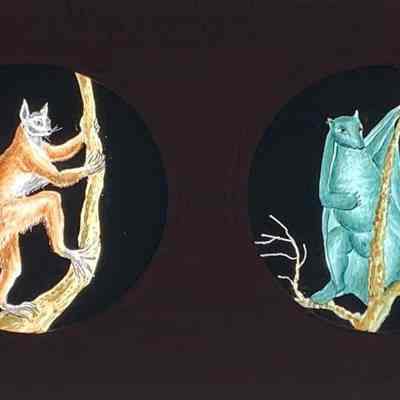 Transparency, Lantern Slide