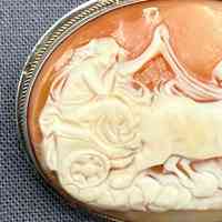 Cameo - Image 2