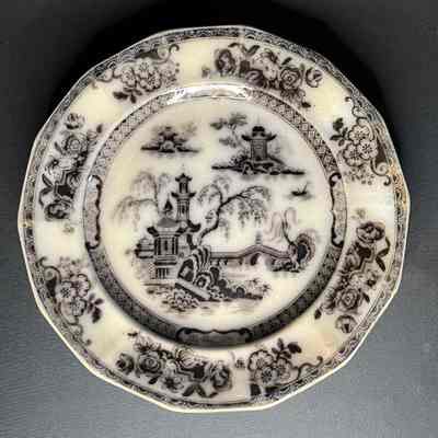 Dinner Plate