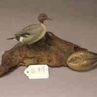 Miniature Pintail duck carving - Image 2