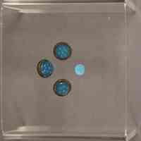 Button - Image 2