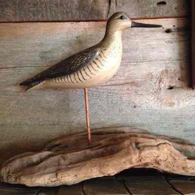 Yellowlegs