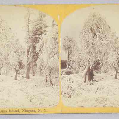 Frozen Grove, Luna Island, Niagara, N.Y.