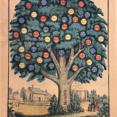 Lithograph, Tree of Temperance