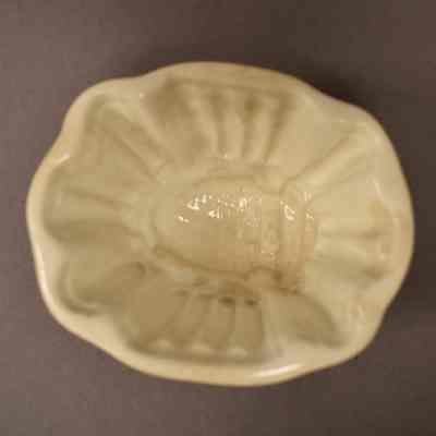 Food Mold