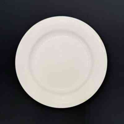 Dinner Plate