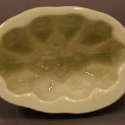 Food Mold