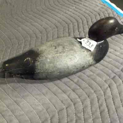 The Mason Canvasback