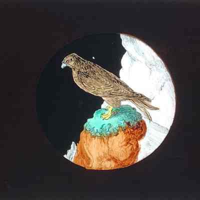 Transparency, Lantern Slide