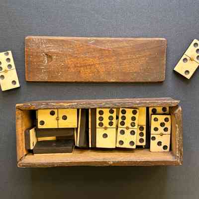 Dominos with Case