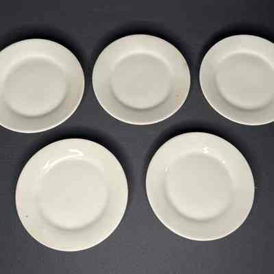 Toy Dinner Plates