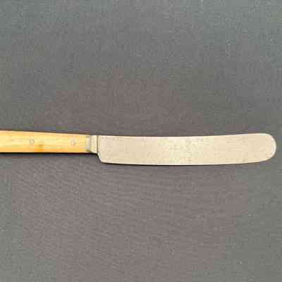 Dinner Knife