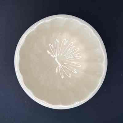 Food Mold