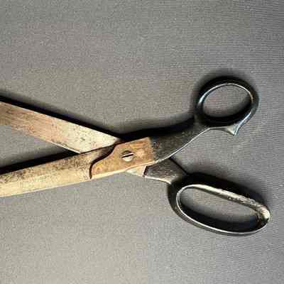 Scissors