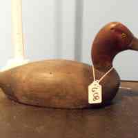 Redhead Drake - Image 2