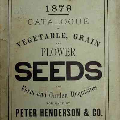 Peter Henderson & Co. Seed Catalogue, 1879