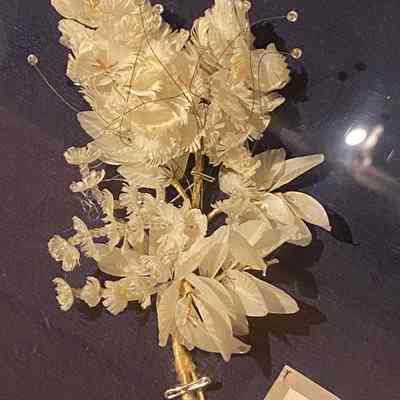 Ornament, Hair