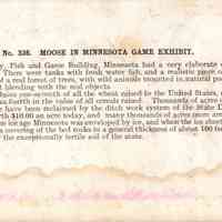 Stereograph - Image 2