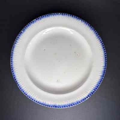 Dinner Plate