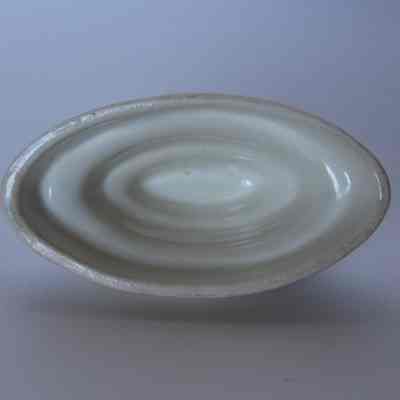Food Mold