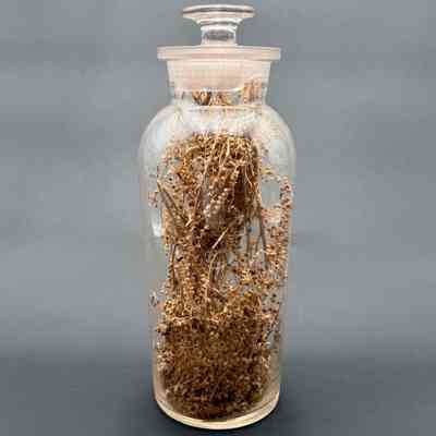 Apothecary Bottle